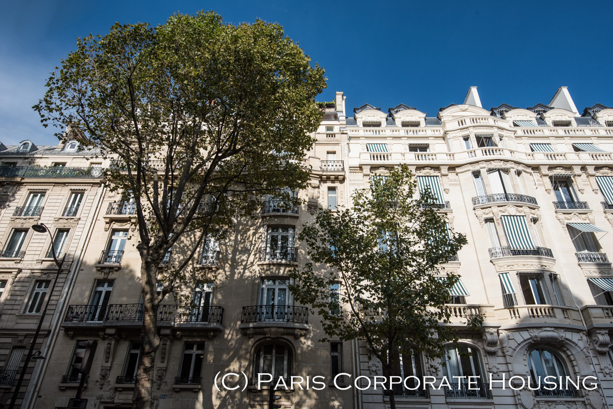 Boulevard SaintGermain 1 Bedroom Furnished