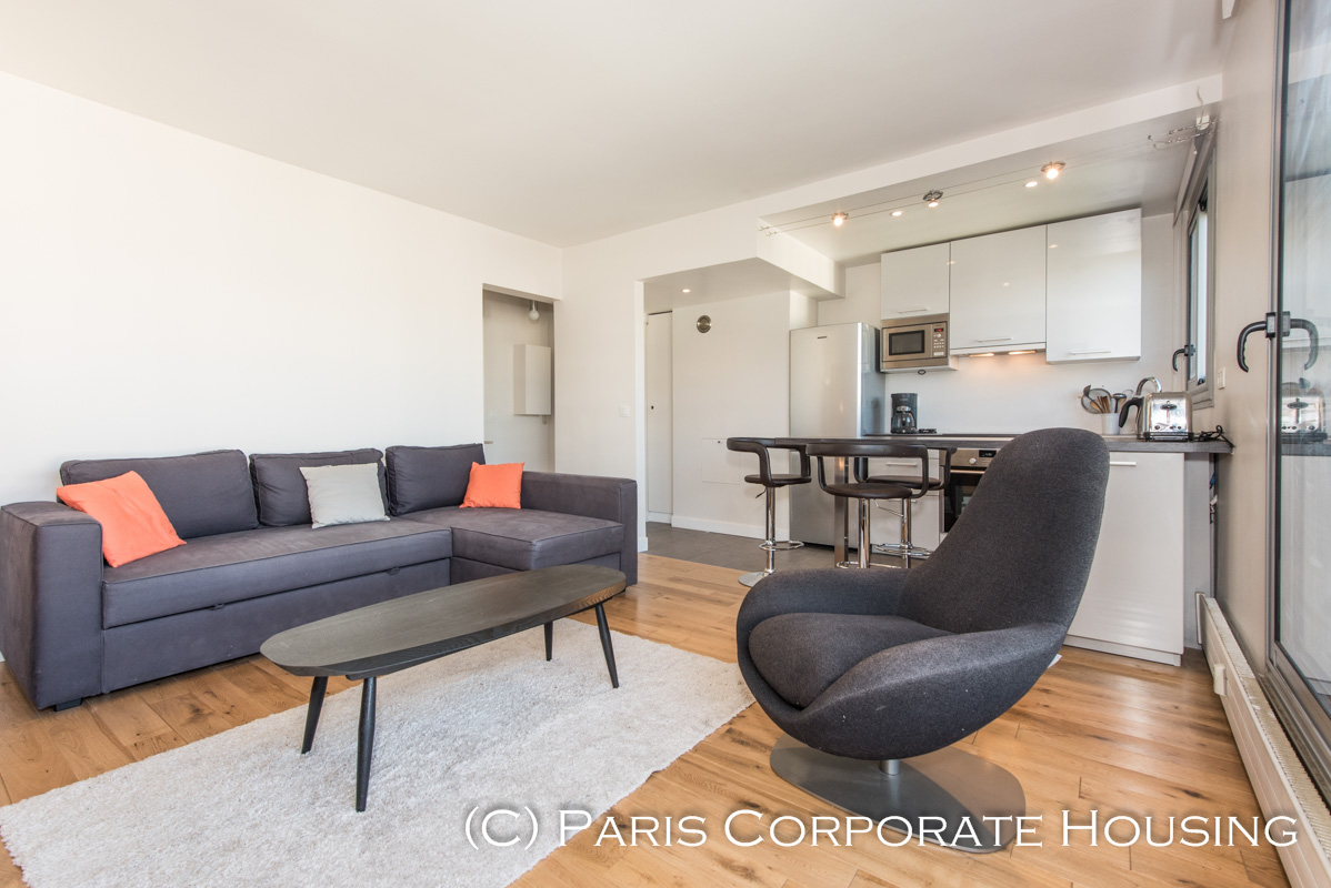 Rue de la Croix-Nivert - 1 Bedroom - Furnished